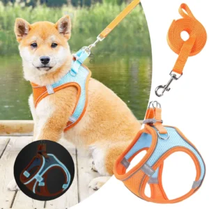 Adjustable Dog Harness Vest – Comfortable No Pull Dog Harness
